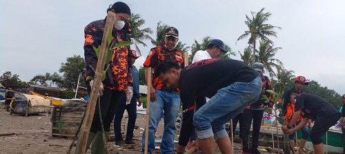 
 BLH Pemuda Pancasila Sulsel Tanam Mangrove di Pantai Galesong Utara Takalar