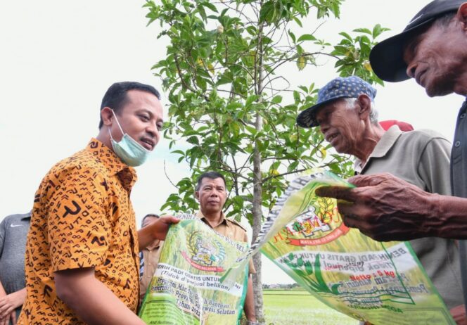 
 Musim Tanam April-September 2022, Bantuan Mandiri Benih oleh Gubernur Sulsel Telah Tersalur 1,2 juta kg benih untuk Lahan 48 ribu Ha