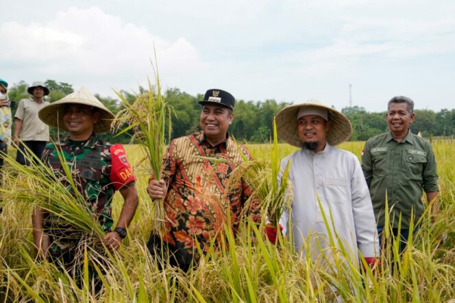 
 Program Mandiri Benih oleh Gubernur Andi Sudirman, Bupati Maros Chaidir Syam : Hasilnya Luar Biasa, Membantu Petani
