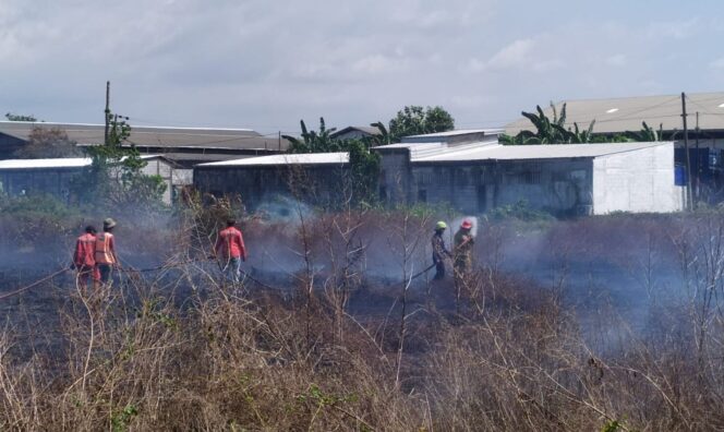 
 3 Unit Damkar Berhasil Padamkan Kebakaran Lahan di Makassar